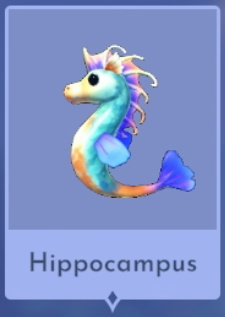 Hippocampus